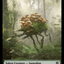 Hamster // Saproling Double-Sided Token [Bloomburrow Commander Tokens]