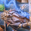 Renari, Merchant of Marvels // Renari, Merchant of Marvels (ACLB-030) - Battle for Baldur's Gate Art Series (Borderless) Foil