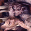 A Little Chat // A Little Chat (ASNC-012) - New Capenna Art Series (Borderless) Foil