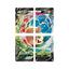 Chinese Pokémon TCG: Quad Connection Gift Set: Morpeko *Sealed*