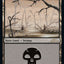 Swamp (290) [30th Anniversary Edition]