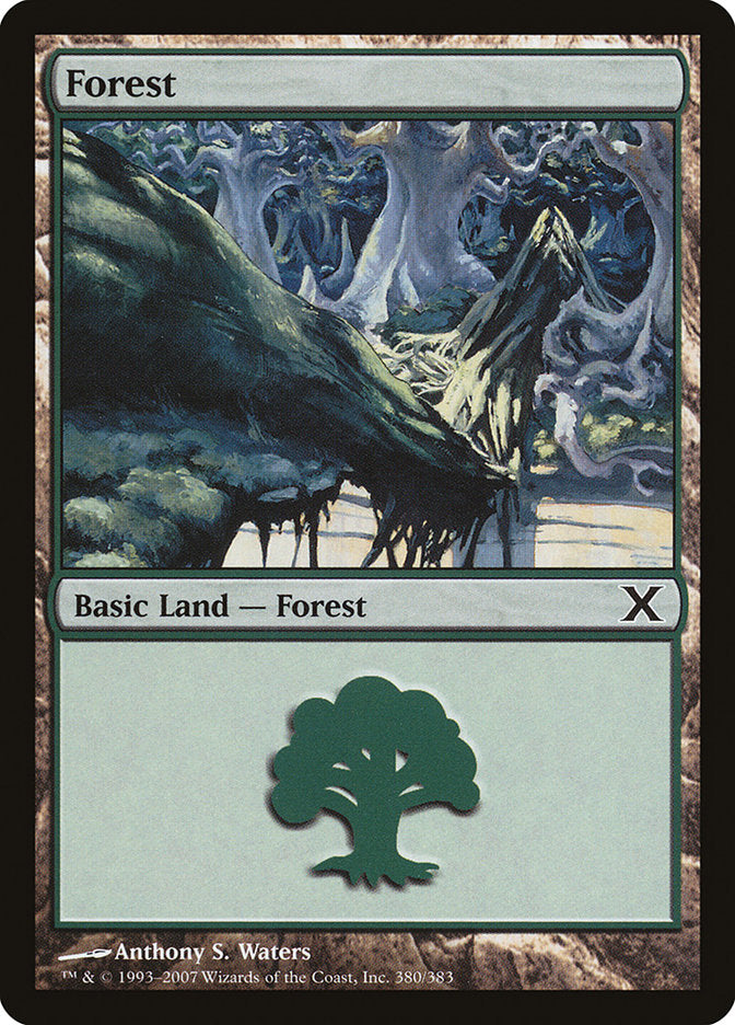 Forest (380) [Tenth Edition]