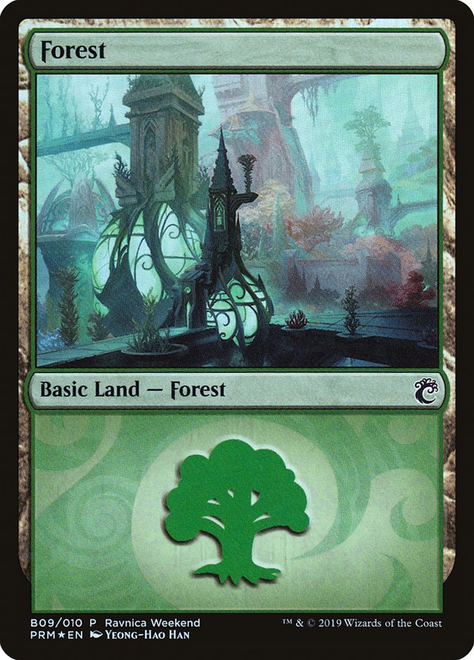 Forest (B09) [Ravnica Allegiance Guild Kit]