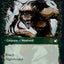Bird Admirer // Wing Shredder (Showcase Equinox) [Innistrad: Midnight Hunt]