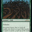 Wall of Wood [30th Anniversary Edition]
